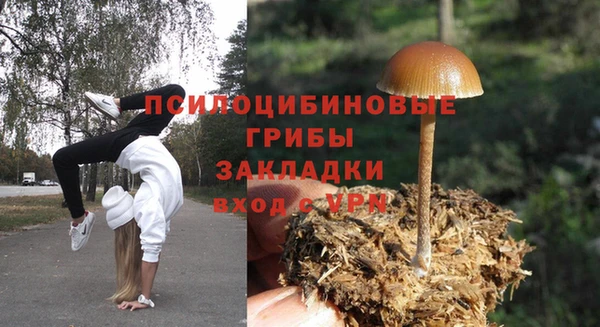 гашиш Богданович