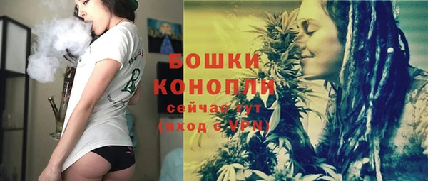 гашиш Богданович